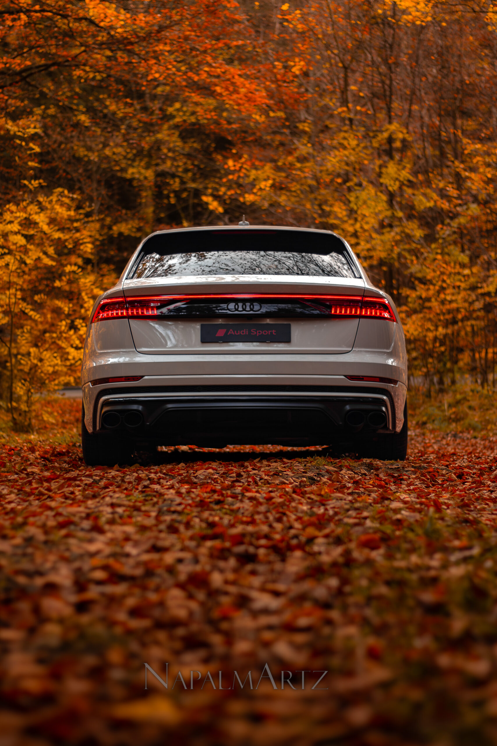 Tieferlegungsmodul / Air Suspension Control Audi Q8 4M inkl. App Steuerung – Bild 4