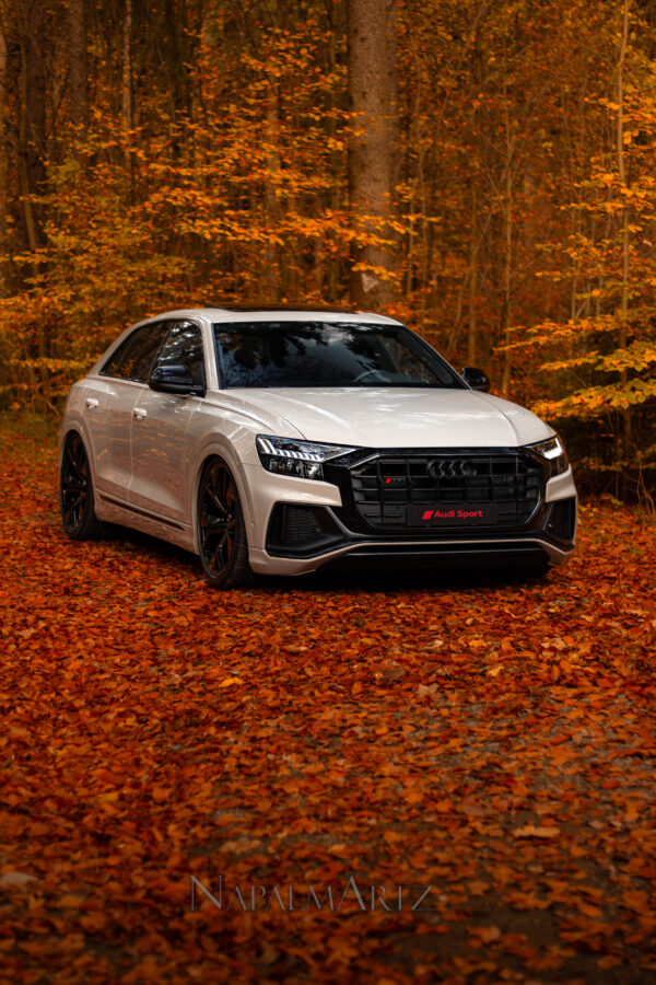 Audi Q8 air suspension lowering module - Image 5